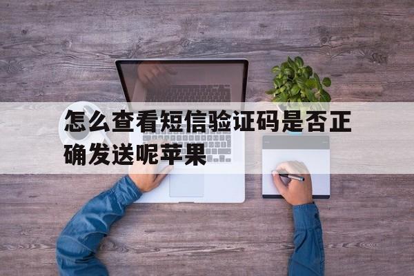 怎么查看短信验证码是否正确发送呢苹果 怎么查看短信验证码是否正确发送呢苹果