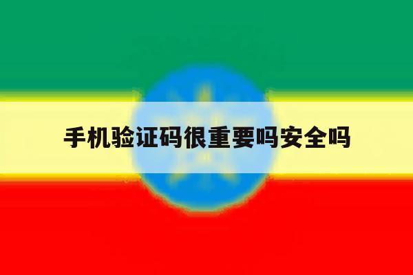 手机验证码很重要吗安全吗 手机验证码很重要吗安全吗