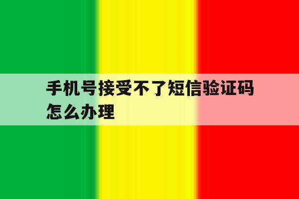 手机号接受不了短信验证码怎么办理 手机号接受不了短信验证码怎么办理