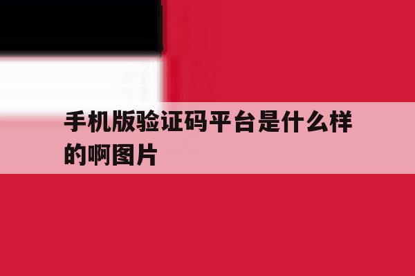 手机版验证码平台是什么样的啊图片 手机版验证码平台是什么样的啊图片