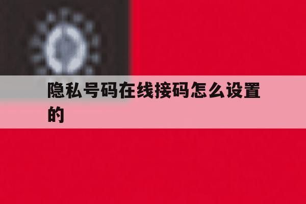 隐私号码在线接码怎么设置的 隐私号码在线接码怎么设置的