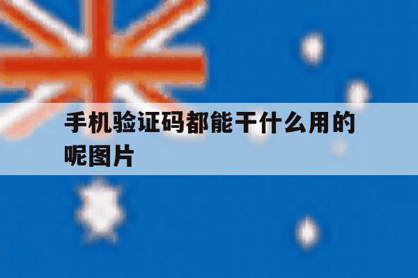 手机验证码都能干什么用的呢图片 手机验证码都能干什么用的呢图片