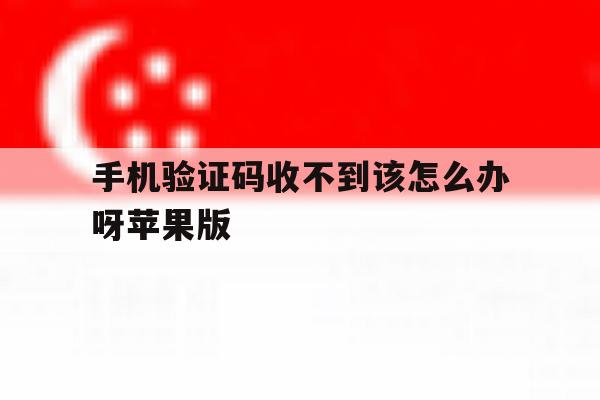 手机验证码收不到该怎么办呀苹果版 手机验证码收不到该怎么办呀苹果版