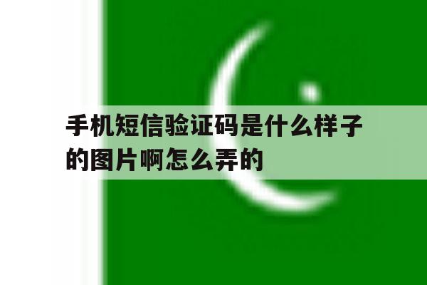 手机短信验证码是什么样子的图片啊怎么弄的 手机短信验证码是什么样子的图片啊怎么弄的