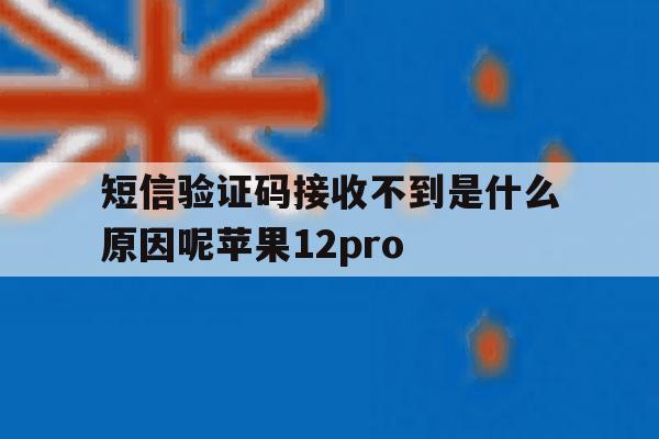 短信验证码接收不到是什么原因呢苹果12pro 短信验证码接收不到是什么原因呢苹果12pro
