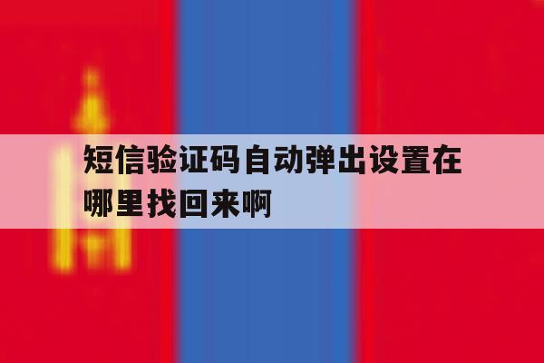 短信验证码自动弹出设置在哪里找回来啊 短信验证码自动弹出设置在哪里找回来啊