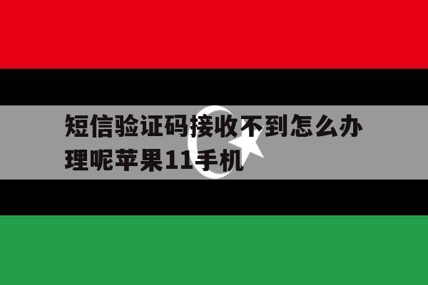 关于短信验证码接收不到怎么办理呢苹果11手机的信息 关于短信验证码接收不到怎么办理呢苹果11手机的信息
