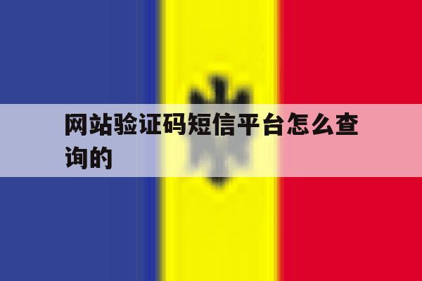 网站验证码短信平台怎么查询的 网站验证码短信平台怎么查询的