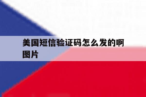 美国短信验证码怎么发的啊图片 美国短信验证码怎么发的啊图片