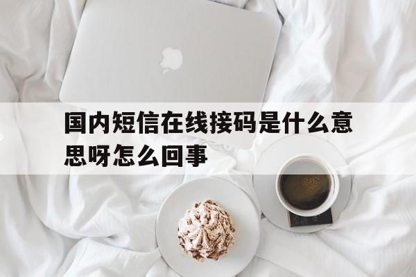 国内短信在线接码是什么意思呀怎么回事 国内短信在线接码是什么意思呀怎么回事