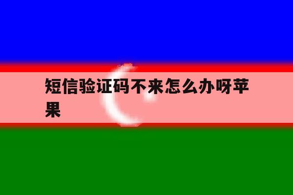 短信验证码不来怎么办呀苹果 短信验证码不来怎么办呀苹果