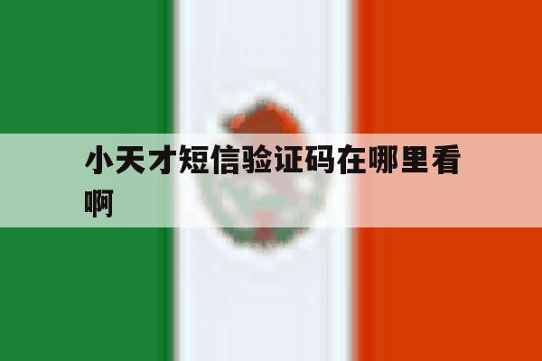 小天才短信验证码在哪里看啊 小天才短信验证码在哪里看啊