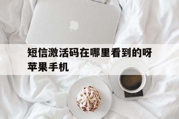 短信激活码在哪里看到的呀苹果手机的简单介绍 短信激活码在哪里看到的呀苹果手机的简单介绍