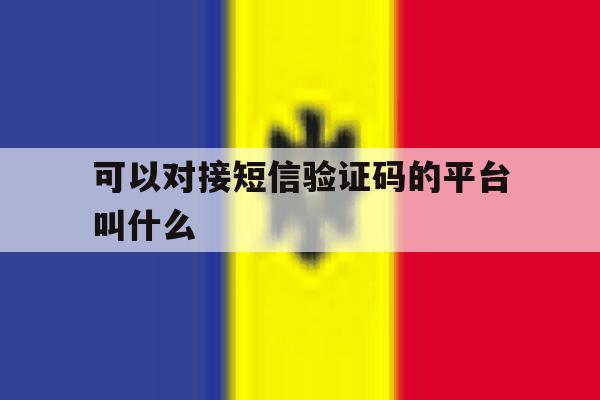 可以对接短信验证码的平台叫什么 可以对接短信验证码的平台叫什么