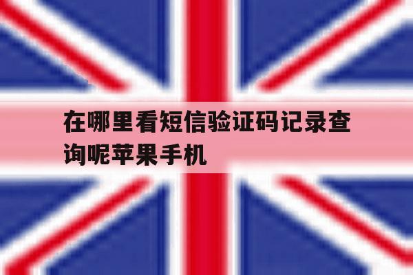 在哪里看短信验证码记录查询呢苹果手机的简单介绍 在哪里看短信验证码记录查询呢苹果手机的简单介绍