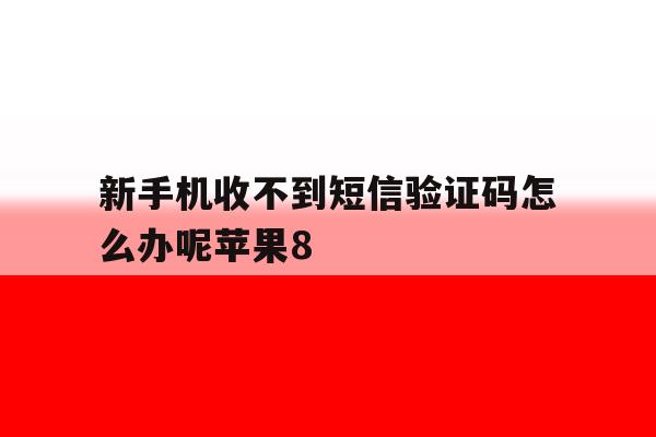 新手机收不到短信验证码怎么办呢苹果8 新手机收不到短信验证码怎么办呢苹果8