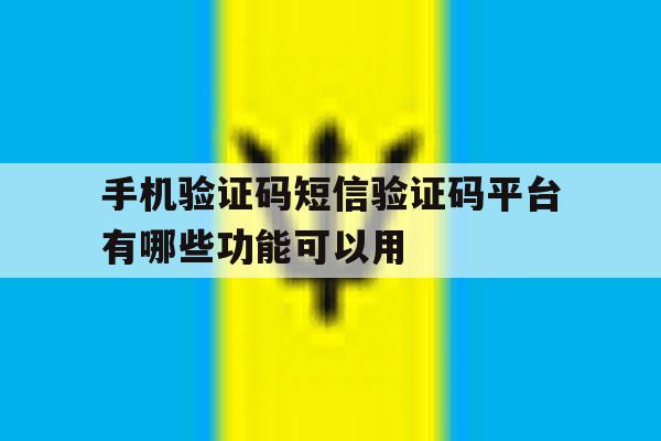 关于手机验证码短信验证码平台有哪些功能可以用的信息 关于手机验证码短信验证码平台有哪些功能可以用的信息