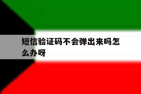 短信验证码不会弹出来吗怎么办呀 短信验证码不会弹出来吗怎么办呀