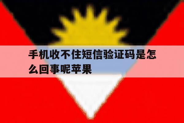 手机收不住短信验证码是怎么回事呢苹果 手机收不住短信验证码是怎么回事呢苹果